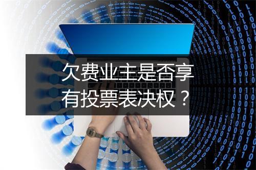 欠费业主是否享有投票表决权?