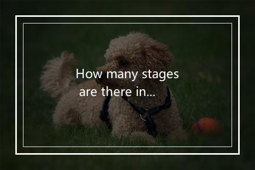 How many stages are there in the labor dispute settlement procedure?