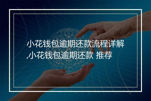 小花钱包逾期还款流程详解,小花钱包逾期还款 推荐