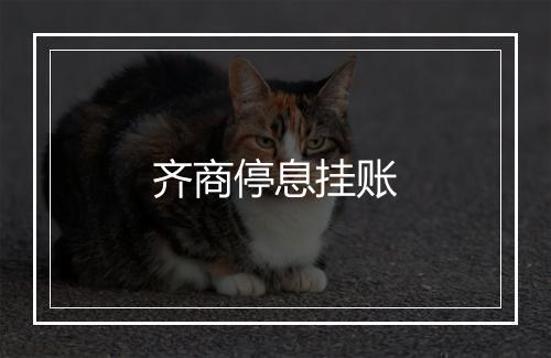 齐商停息挂账