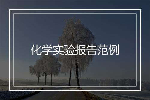 化学实验报告范例