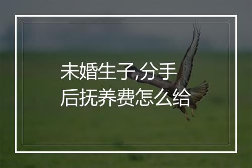 未婚生子,分手后抚养费怎么给