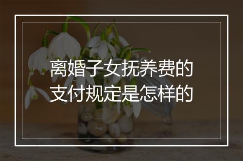 离婚子女抚养费的支付规定是怎样的