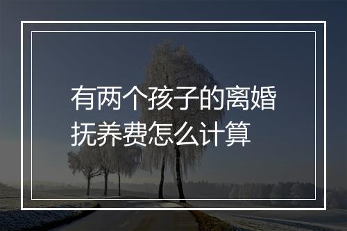 有两个孩子的离婚抚养费怎么计算