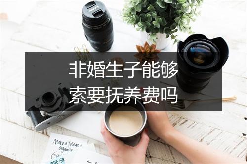 非婚生子能够索要抚养费吗