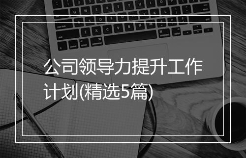 公司领导力提升工作计划(精选5篇)