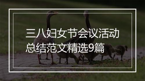 三八妇女节会议活动总结范文精选9篇