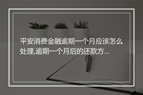 平安消费金融逾期一个月应该怎么处理,逾期一个月后的还款方式