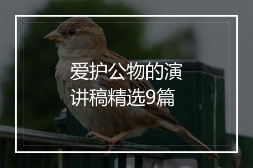 爱护公物的演讲稿精选9篇