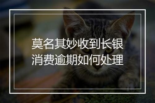 莫名其妙收到长银消费逾期如何处理