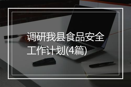 调研我县食品安全工作计划(4篇)