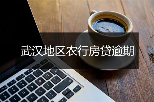 武汉地区农行房贷逾期