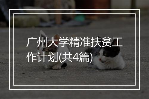 广州大学精准扶贫工作计划(共4篇)