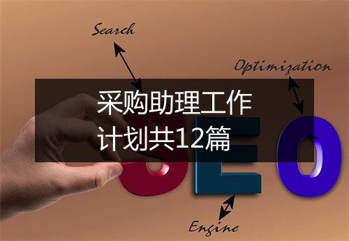 采购助理工作计划共12篇