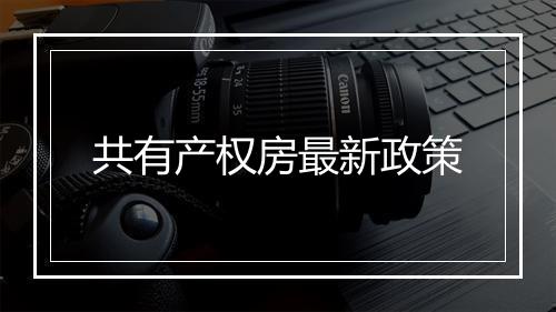 共有产权房最新政策