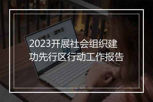 2023开展社会组织建功先行区行动工作报告