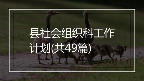 县社会组织科工作计划(共49篇)