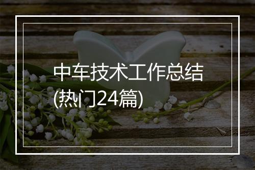 中车技术工作总结(热门24篇)