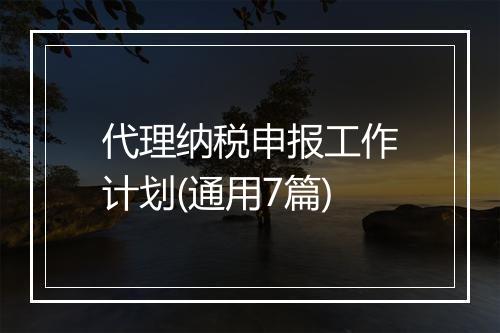 代理纳税申报工作计划(通用7篇)
