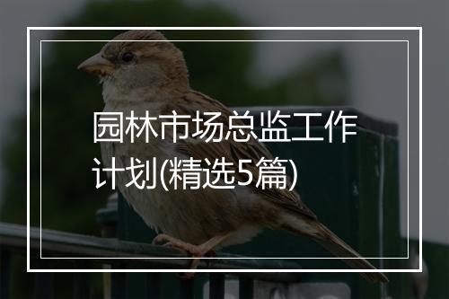园林市场总监工作计划(精选5篇)