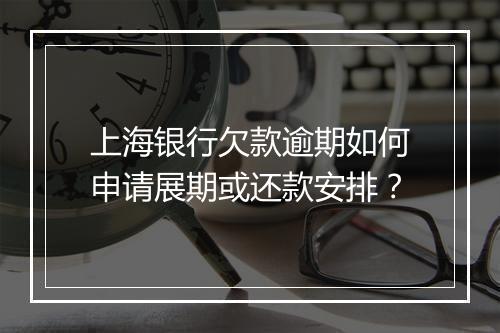 上海银行欠款逾期如何申请展期或还款安排?