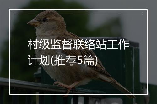 村级监督联络站工作计划(推荐5篇)