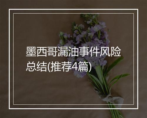 墨西哥漏油事件风险总结(推荐4篇)