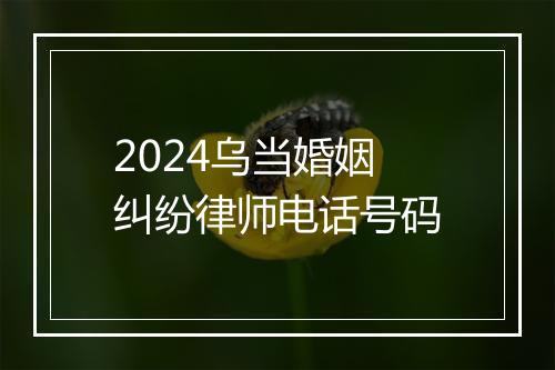 2024乌当婚姻纠纷律师电话号码