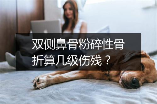 双侧鼻骨粉碎性骨折算几级伤残?