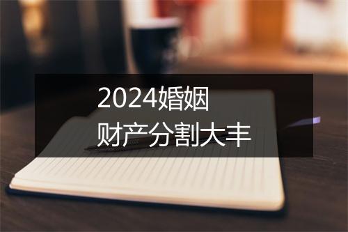 2024婚姻财产分割大丰