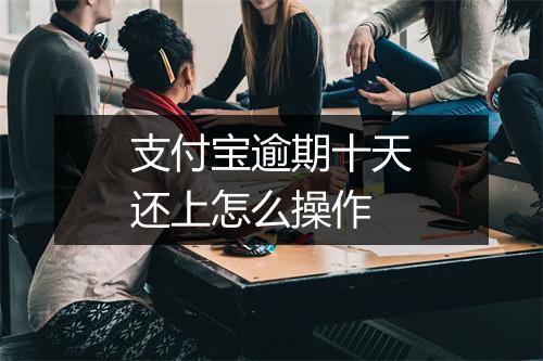 支付宝逾期十天还上怎么操作