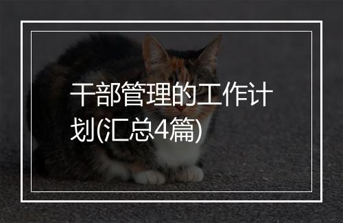 干部管理的工作计划(汇总4篇)