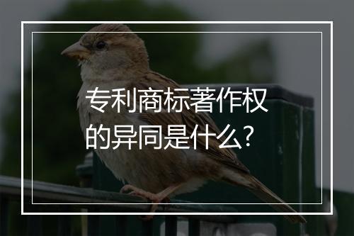 专利商标著作权的异同是什么?