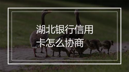 湖北银行信用卡怎么协商