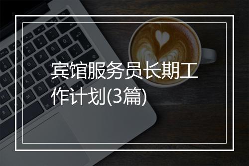 宾馆服务员长期工作计划(3篇)