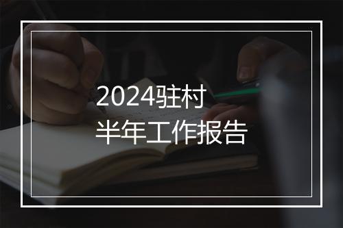 2024驻村半年工作报告