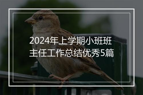 2024年上学期小班班主任工作总结优秀5篇