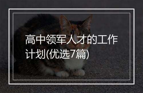 高中领军人才的工作计划(优选7篇)