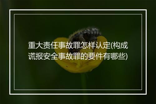 重大责任事故罪怎样认定(构成谎报安全事故罪的要件有哪些)