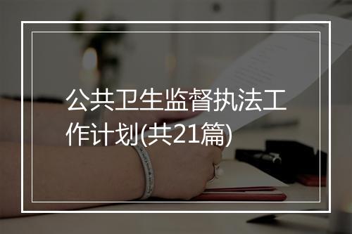 公共卫生监督执法工作计划(共21篇)