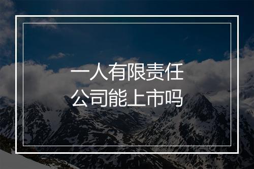 一人有限责任公司能上市吗
