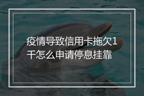 疫情导致信用卡拖欠1千怎么申请停息挂靠