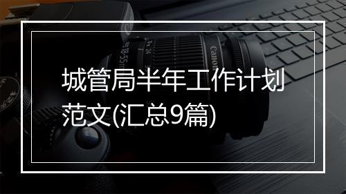 城管局半年工作计划范文(汇总9篇)