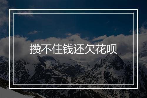 攒不住钱还欠花呗