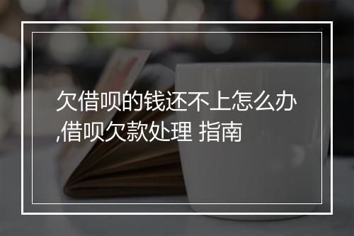 欠借呗的钱还不上怎么办,借呗欠款处理 指南