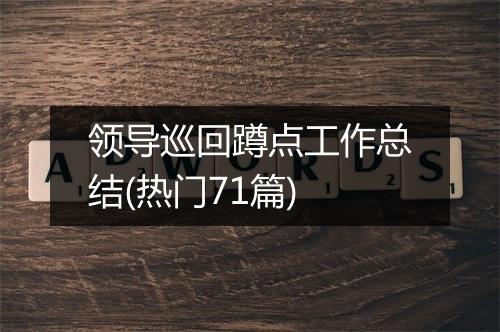 领导巡回蹲点工作总结(热门71篇)