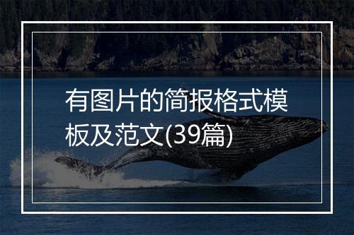 有图片的简报格式模板及范文(39篇)