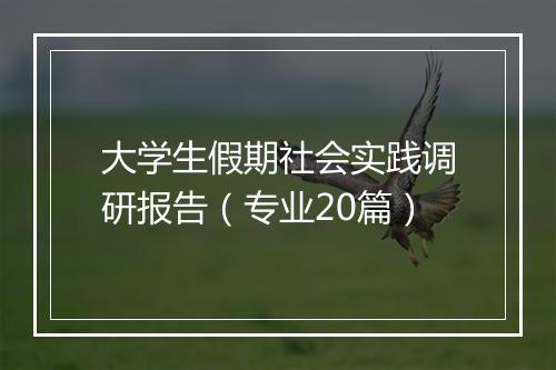 大学生假期社会实践调研报告(专业20篇)