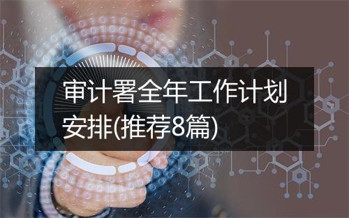 审计署全年工作计划安排(推荐8篇)