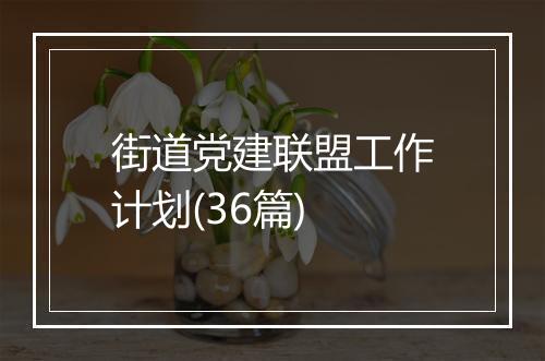 街道党建联盟工作计划(36篇)
